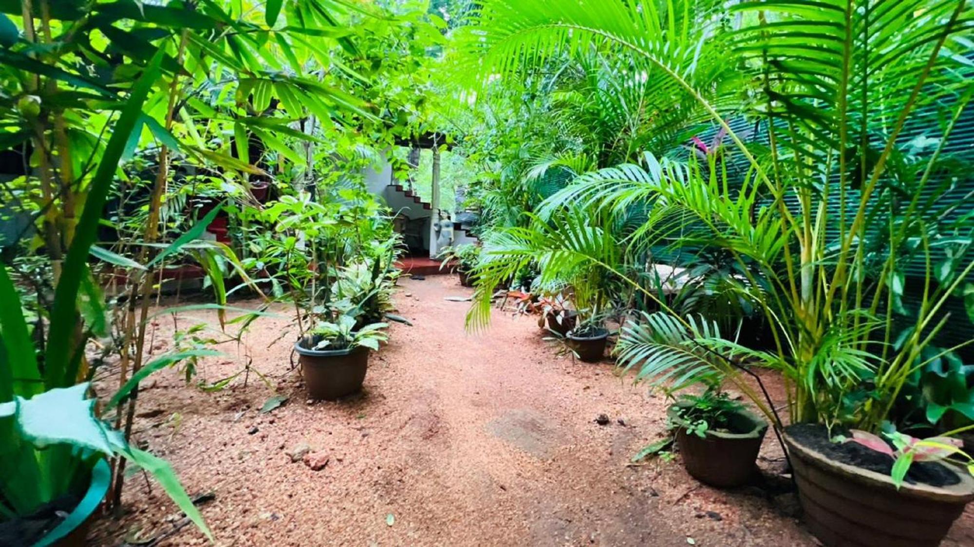 Sigiri Kp Family Home Sigiriya Exterior foto